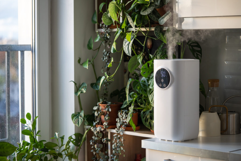 Understanding Whole House Dehumidifiers: Benefits, Types, and Expert Installation 2 Dehumidifiers